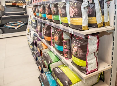 Chiot marron aux poils longs mordant une friandise tenue par une main humaine à Argenton-sur-Creuse dans l'Indre 36