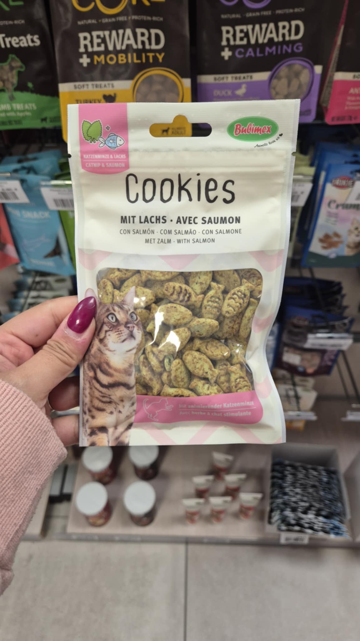 Biscuit à l'herbe à chat et au saumon