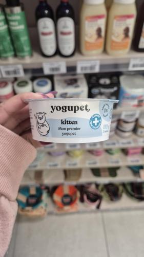 Yogupet chaton