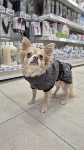 Peignoir en tissu éponge