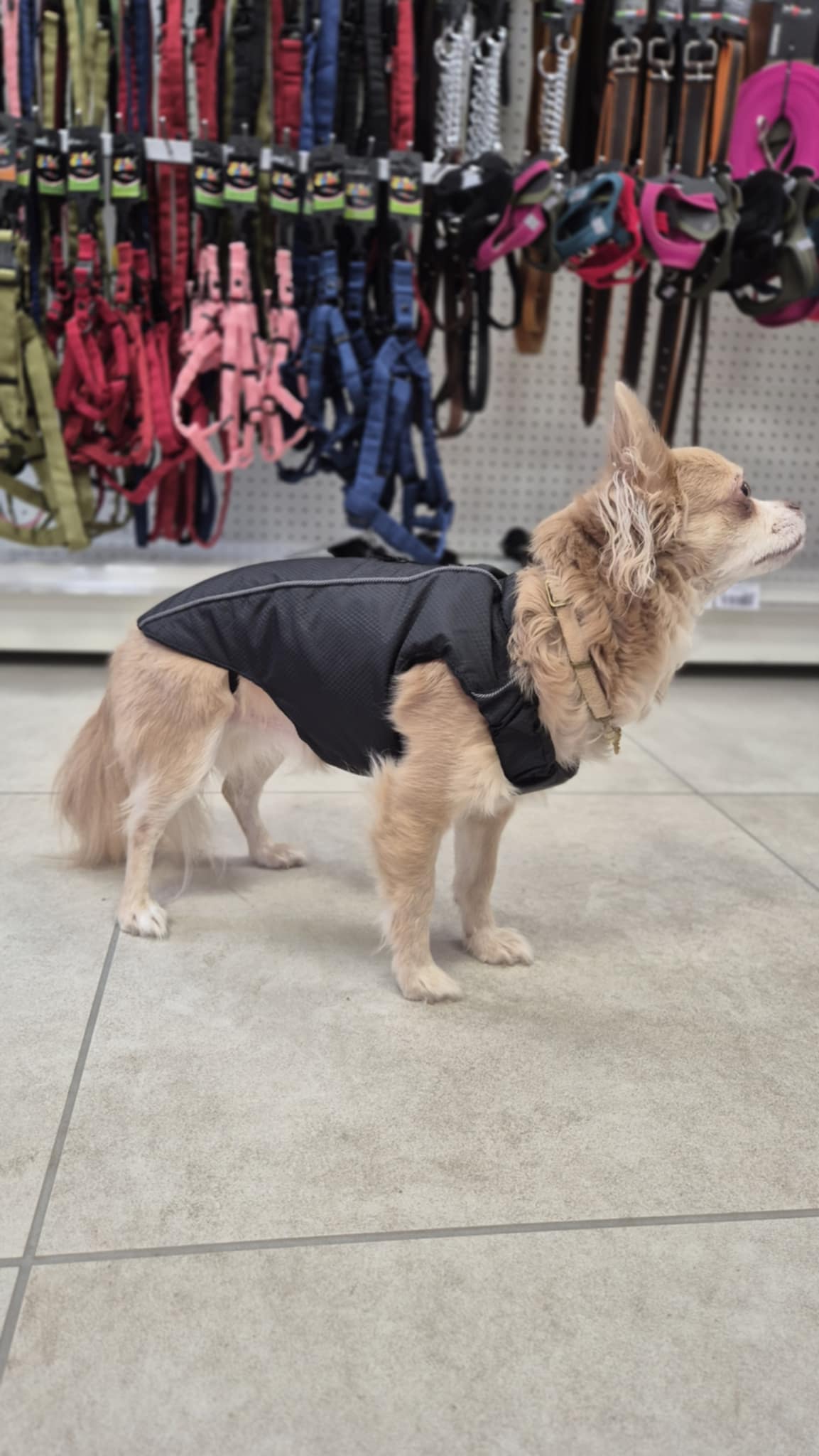 Veste sport expedition