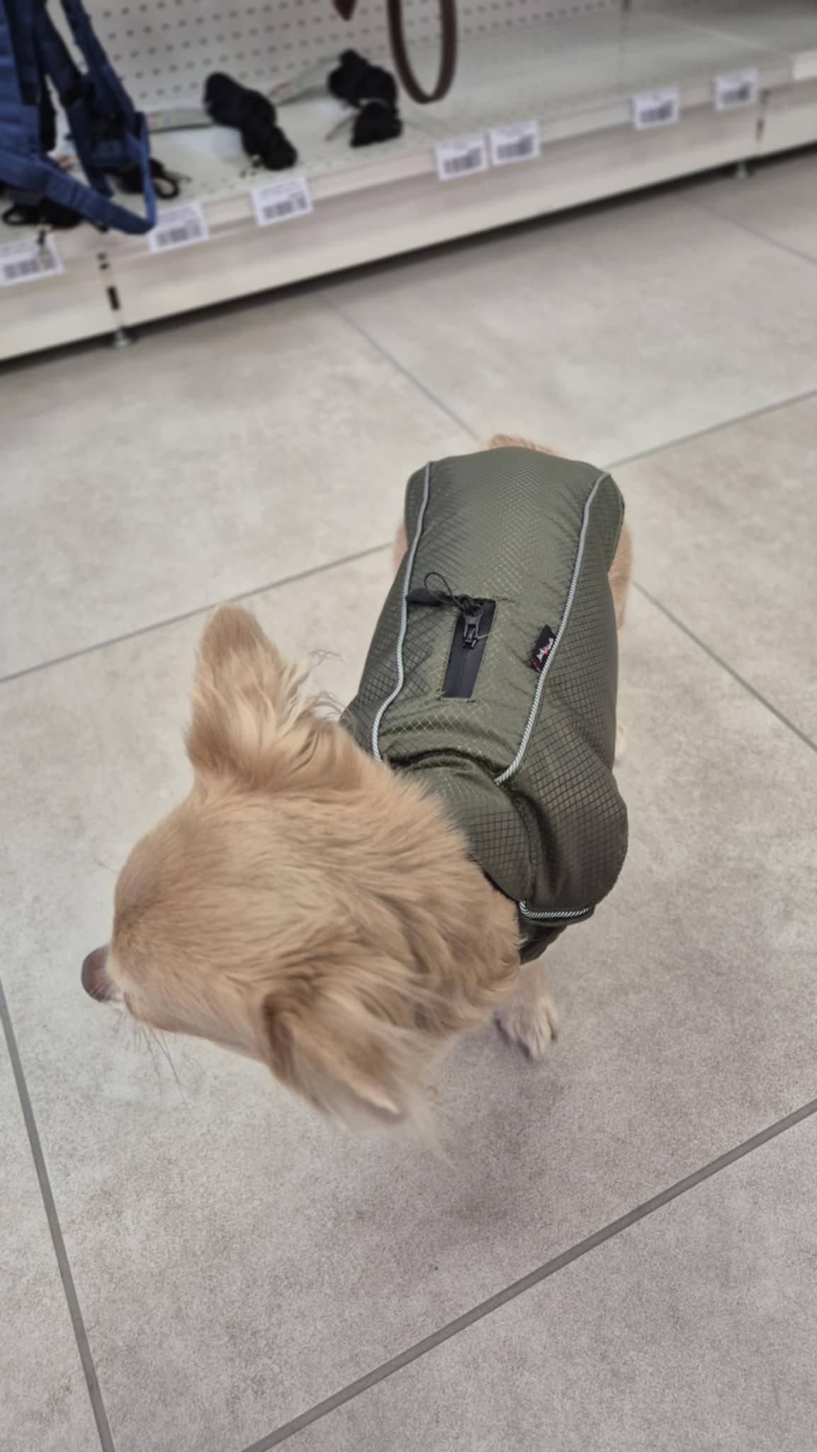 Veste sport expedition