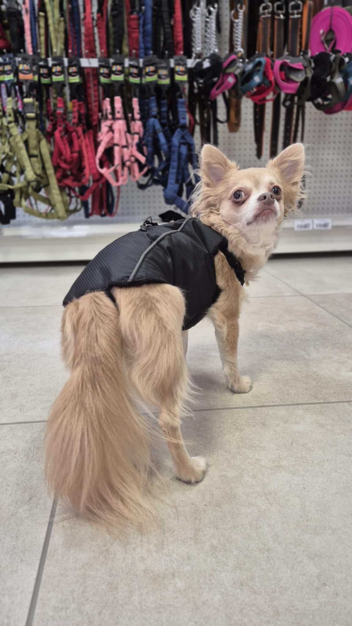 Veste sport expedition