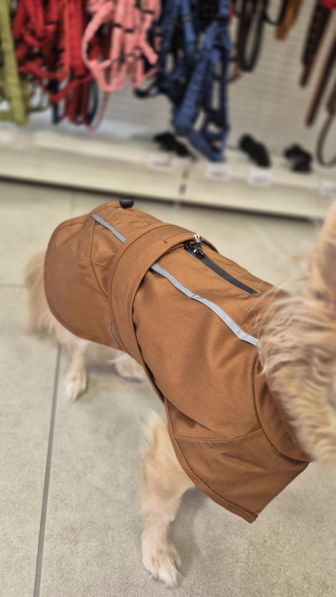 Imperméable citystyle