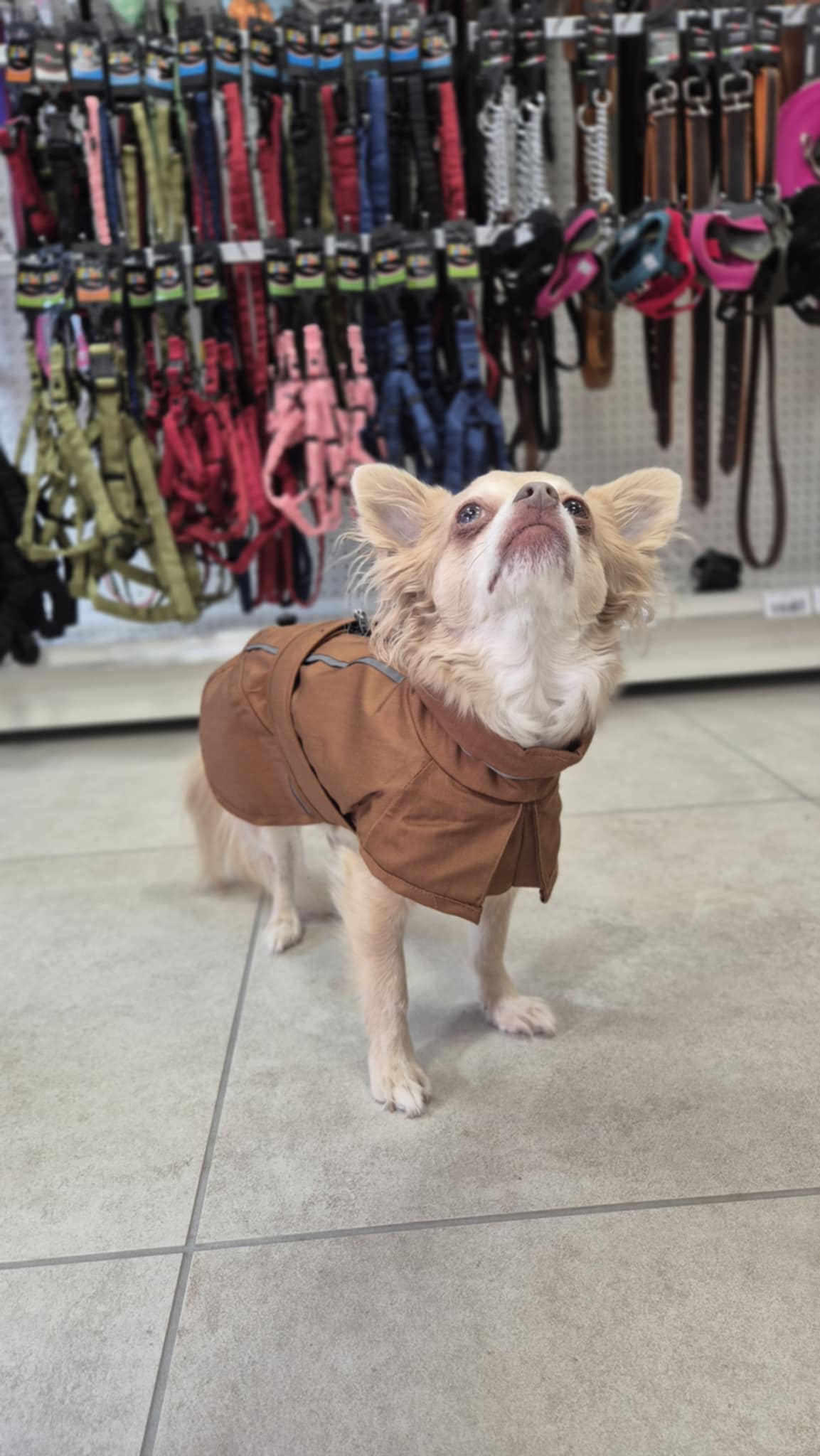 Imperméable citystyle