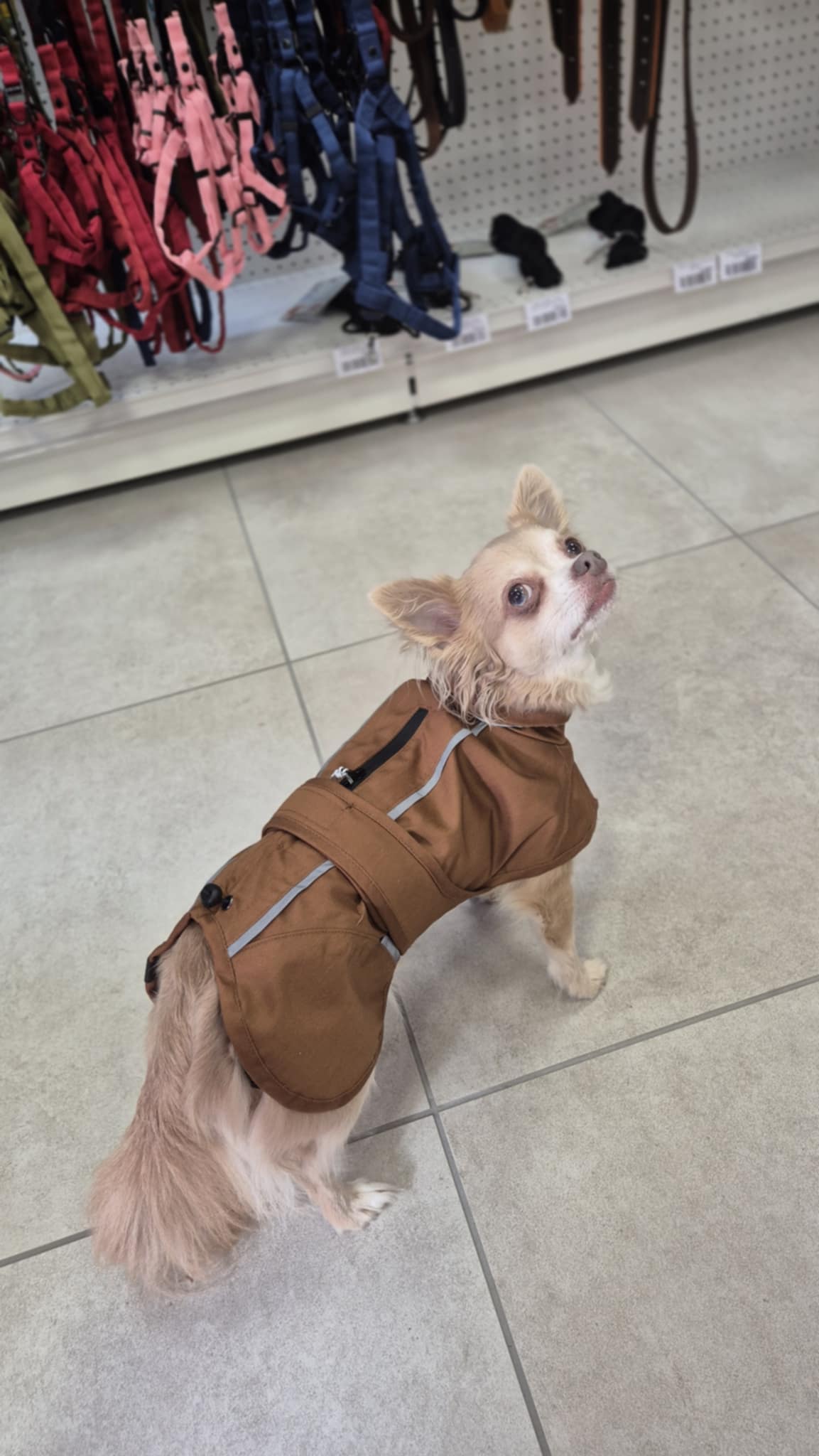 Imperméable citystyle