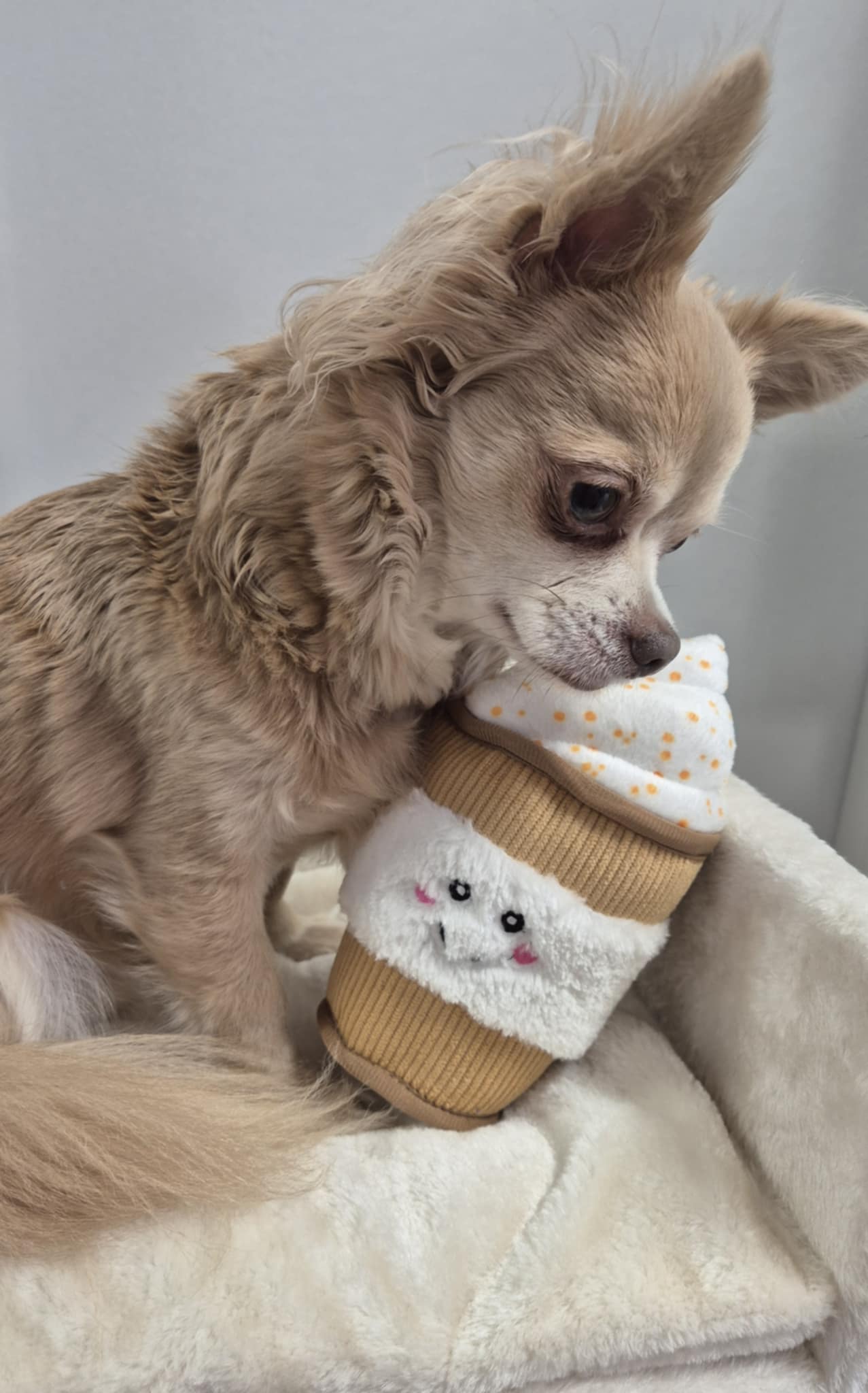Jouet Puppucinno