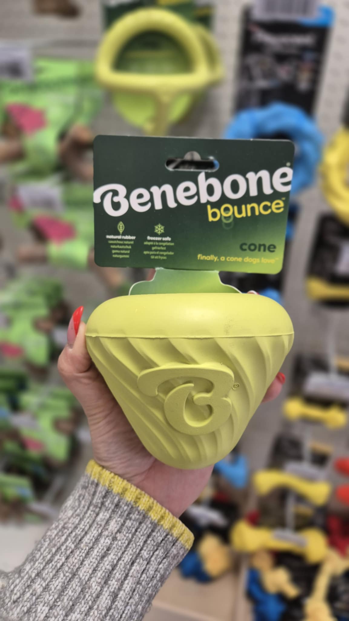 Benebone bounce cone